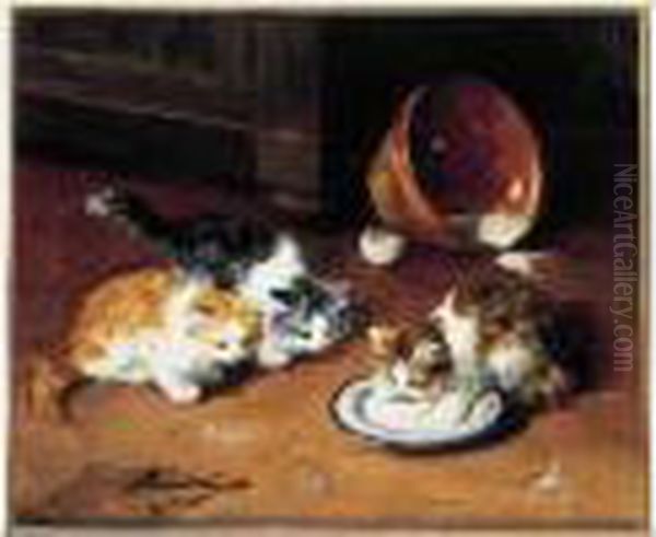 Chatons - view 1