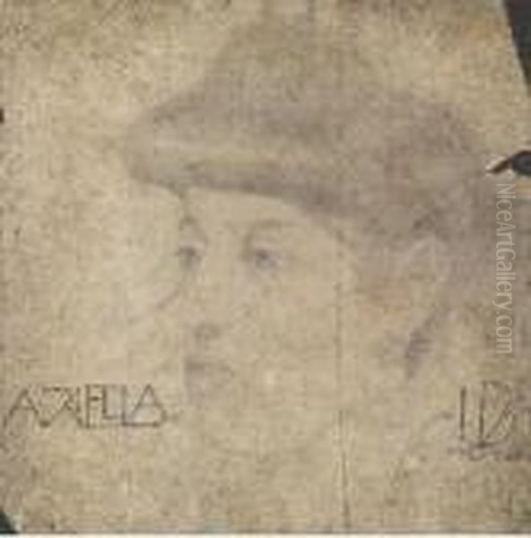 Ariella - view 1