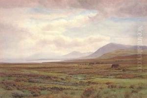 On the moors, Achill Island, Co. Mayo, Ireland by Henry Albert Hartland