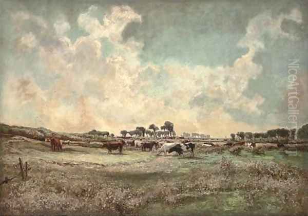 Cattle grazing in an extensive landscape - view 1