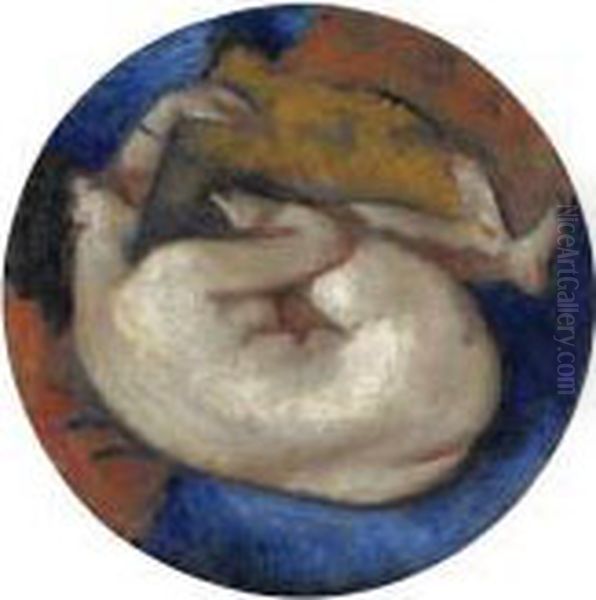 Nudo - view 1