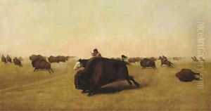 Buffalo Hunt by William Jacob Hays