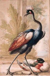 An Emu and a Duck An Emu and a Duck