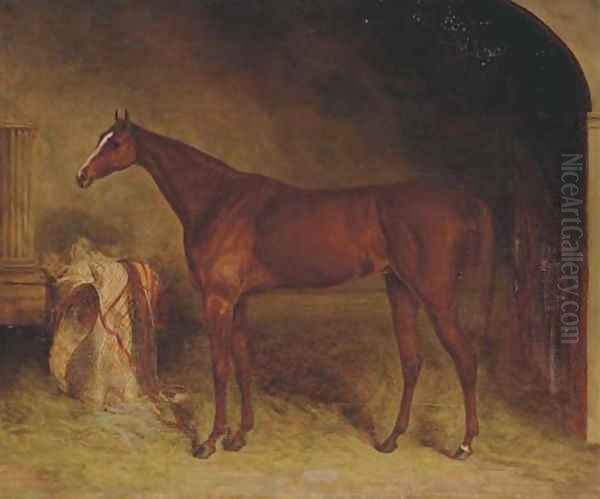 A chestnut racehorse in a stable, Newmarket - view 1