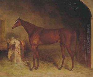 A chestnut racehorse in a stable, Newmarket