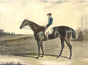Blink Bonny (Siltzer 132), by J. Harris and W. Summers by Harry Hall