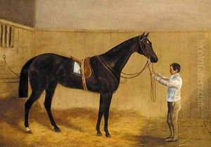 A saddled liver chestnut racehorse held by a groom in a stable