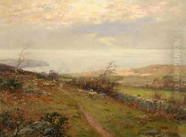 Sheep grazing in a coastal landscape - view 1
