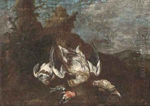 A clearing with dead game birds and song birds by Ferdinand Phillip de Hamilton