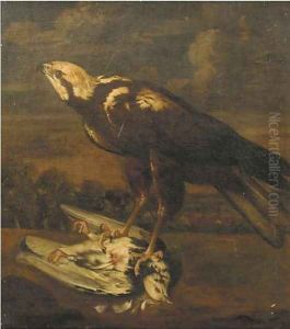 A falcon with a dead pigeon