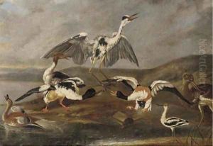 Ducks, a heron and other birds on a bank by Ferdinand Phillip de Hamilton