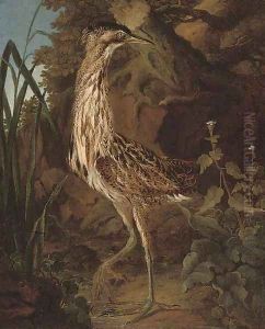 A bittern on the bank of a river by Ferdinand Phillip de Hamilton