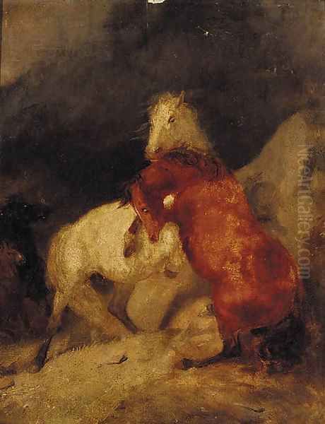 Horses fighting - view 1