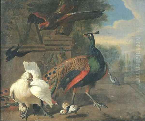 A peacock, a white hen and chickens - view 1