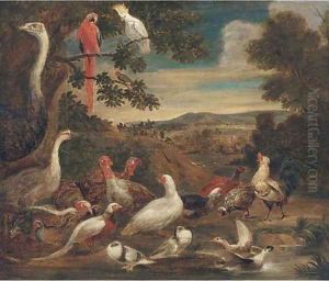 An ostrich, parrots, turkeys, woodcock, a pheasant and other birds in a landscape