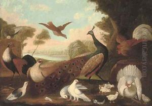 A peacock, a cockeral, a hen and her chicks, a grouse and other foul in a wooded river landscape