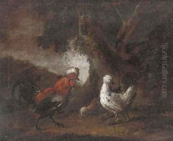 Foraging chickens - view 1