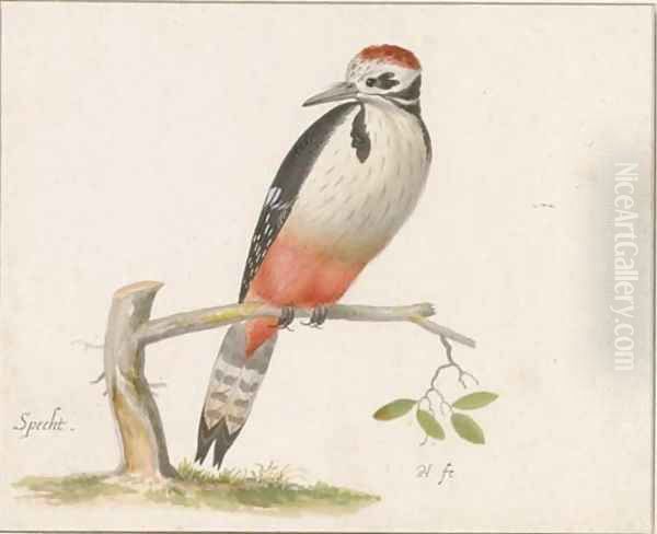 A woodpecker - view 1