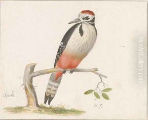 A woodpecker by Pieter the Younger Holsteyn