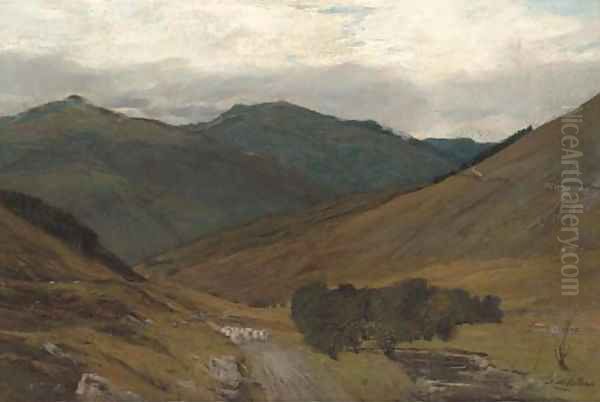 The glen - view 1