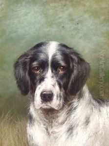 The head of a English setter