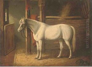 A grey stallion in a stable by John Frederick Herring
