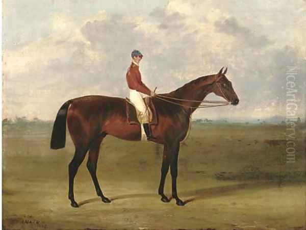 Amato, with jockey up - view 1
