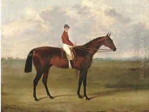 Amato, with jockey up