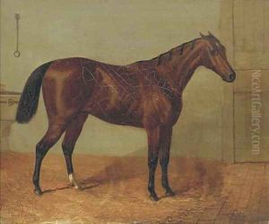 Beeswing, a racehorse in a stable