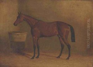 Musjid, winner of the Derby 1859