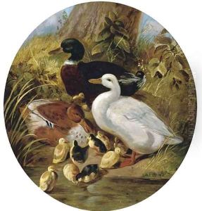 The bank of the duck pond by John Frederick Herring