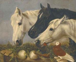 Three horses Three horses