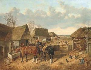In the farmyard
