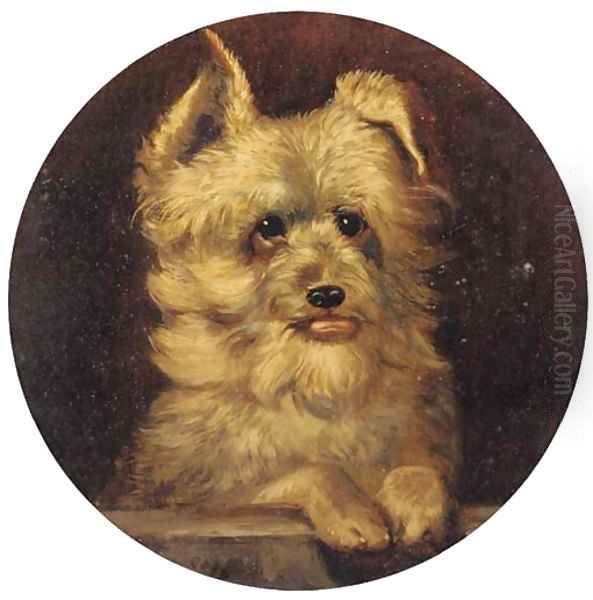 Grip, a terrier - view 1