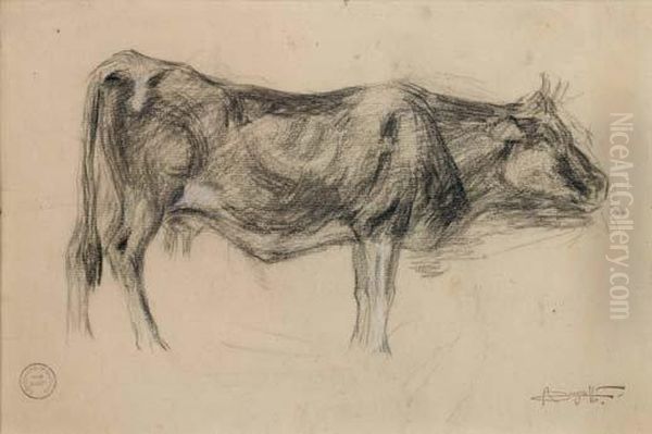 Etude De Vache - view 1