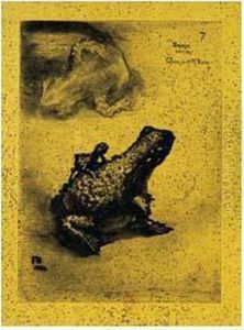 Crapaud Bronze. 1883.