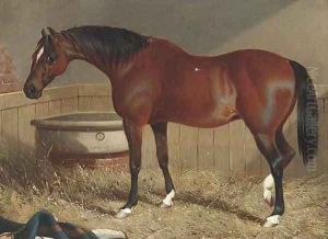 A light brown racehorse in a stable
