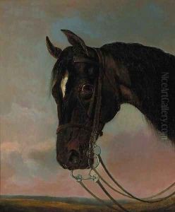 The head of a bay hunter