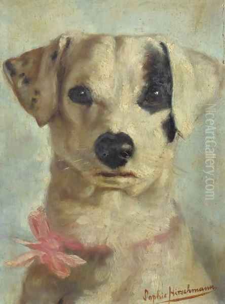 A Jackrussel - view 1