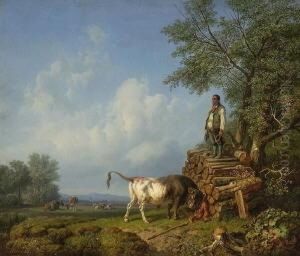 Stier Und Bauer.