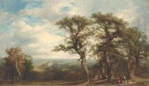 Kenilworth Castle from Woodhall Road, Warwickshire