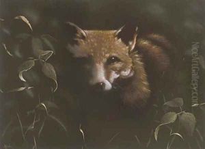 Fox at night by John Higginbotham