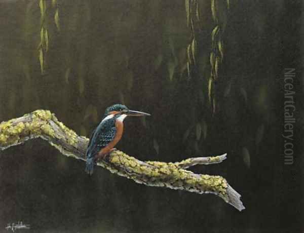 The king of the river - view 1