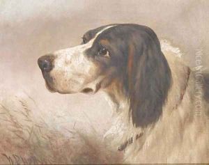 The head of gundog