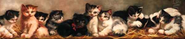 Kittens - view 1