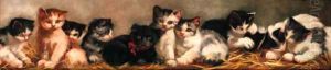 Kittens by Arthur Heyer