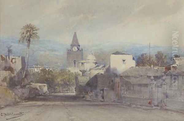 A street in South America - view 1