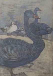 Black Swans by Theodorus Van Hoytema