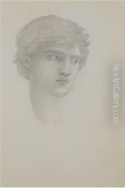 Study For Head Of Perseus In The Rock Of Doom - view 1