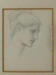 Profile Head Study For Laus Veneris Profile Head Study For Laus Veneris